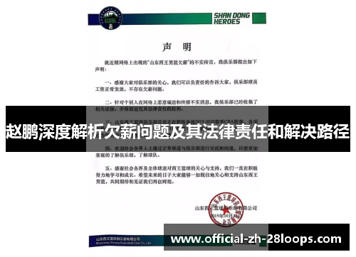 赵鹏深度解析欠薪问题及其法律责任和解决路径