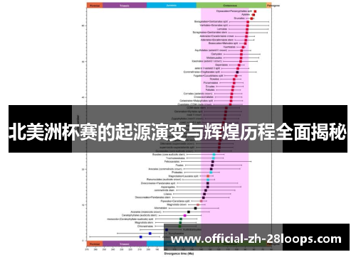北美洲杯赛的起源演变与辉煌历程全面揭秘